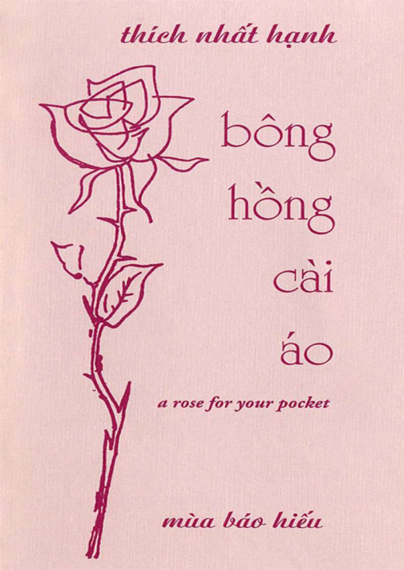 BÔNG HỒNG CÀI ÁO